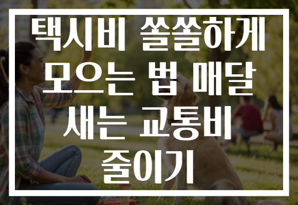 택시비 쏠쏠하게 모으는 법 매달 새는 교통비 줄이기