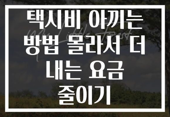 택시비 아끼는 방법 몰라서 더 내는 요금 줄이기 택시비 아끼는 방법 몰라서 더 내는 요금 줄이기