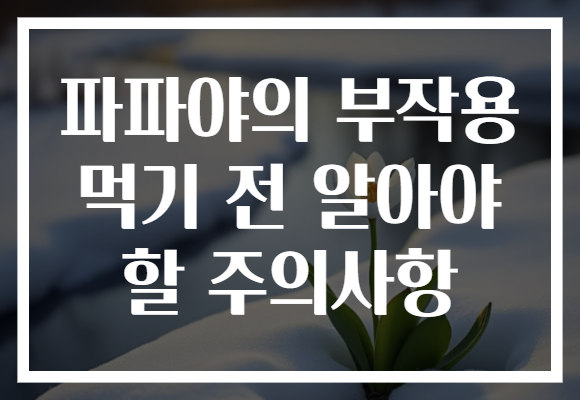 파파야의 부작용 먹기 전 알아야 할 주의사항 파파야의 부작용 먹기 전 알아야 할 주의사항