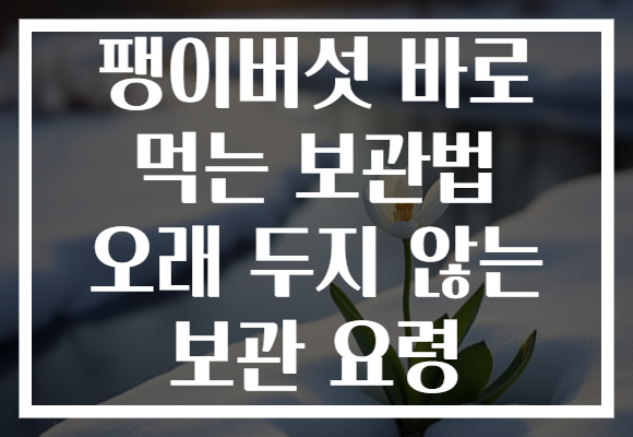 팽이버섯 바로 먹는 보관법 오래 두지 않는 보관 요령 팽이버섯 바로 먹는 보관법 오래 두지 않는 보관 요령