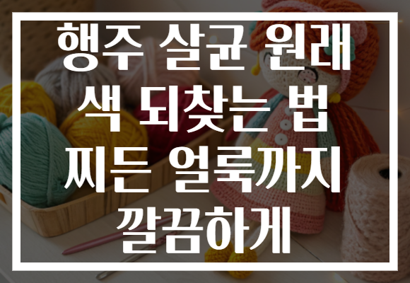 행주 살균 원래 색 되찾는 법 찌든 얼룩까지 깔끔하게 행주 살균 원래 색 되찾는 법 찌든 얼룩까지 깔끔하게