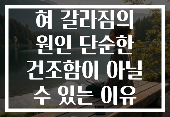 혀 갈라짐의 원인 단순한 건조함이 아닐 수 있는 이유 혀 갈라짐의 원인 단순한 건조함이 아닐 수 있는 이유