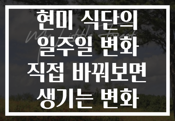 현미 식단의 일주일 변화 직접 바꿔보면 생기는 변화 현미 식단의 일주일 변화 직접 바꿔보면 생기는 변화