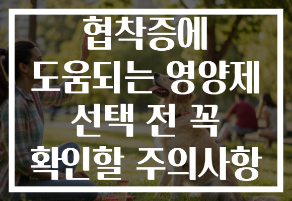 협착증에 도움되는 영양제 선택 전 꼭 확인할 주의사항 협착증에 도움되는 영양제 선택 전 꼭 확인할 주의사항