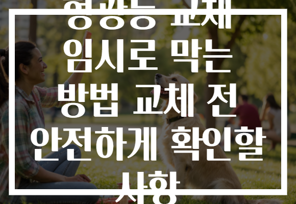 형광등 교체 임시로 막는 방법 교체 전 안전하게 확인할 사항 형광등 교체 임시로 막는 방법 교체 전 안전하게 확인할 사항