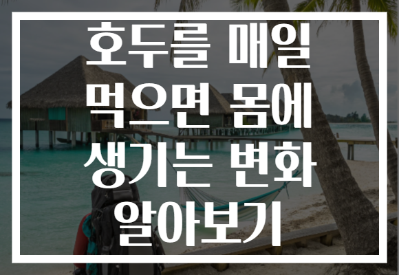 호두를 매일 먹으면 몸에 생기는 변화 알아보기