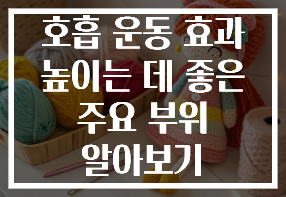호흡 운동 효과 높이는 데 좋은 주요 부위 알아보기 호흡 운동 효과 높이는 데 좋은 주요 부위 알아보기