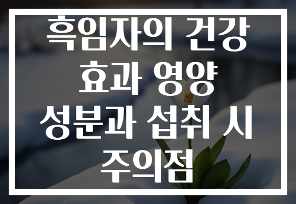 흑임자의 건강 효과 영양 성분과 섭취 시 주의점