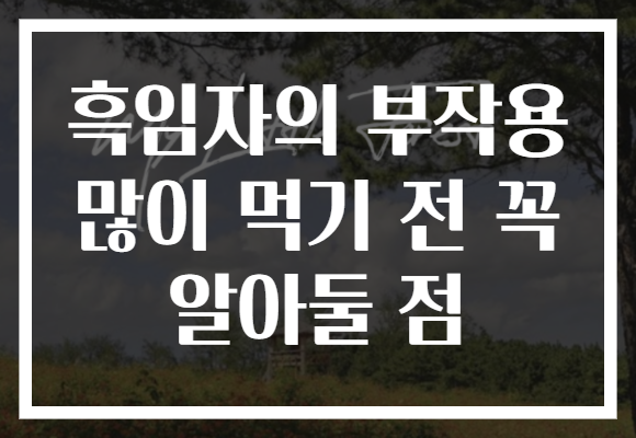 흑임자의 부작용 많이 먹기 전 꼭 알아둘 점
