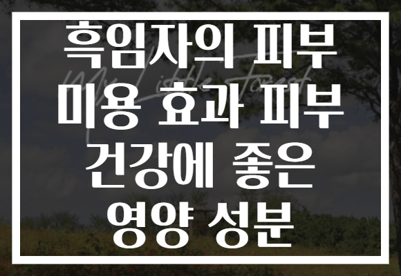 흑임자의 피부 미용 효과 피부 건강에 좋은 영양 성분